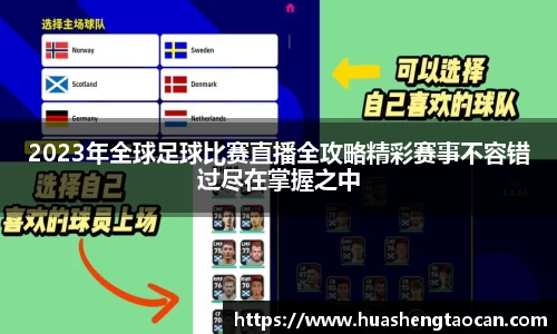im电竞官网