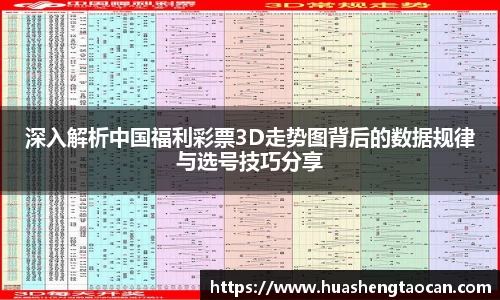 深入解析中国福利彩票3D走势图背后的数据规律与选号技巧分享